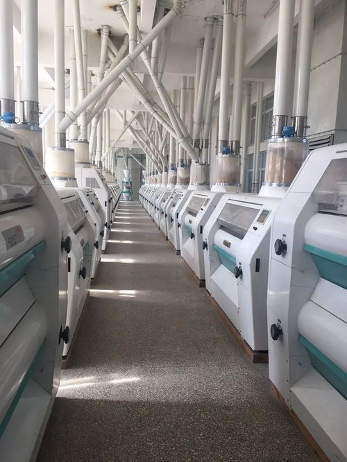 山東清華面粉機械設備調(diào)劑中心